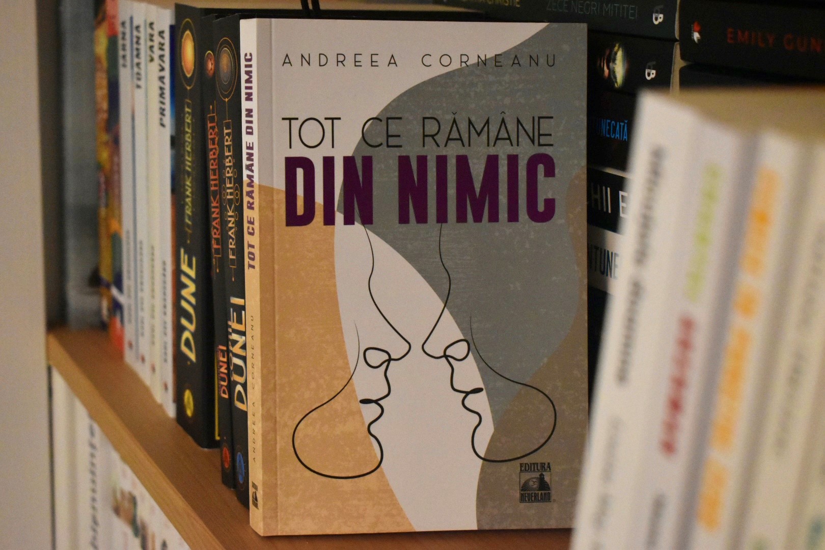 Tot ce rămâne din nimic – Andreea Corneanu