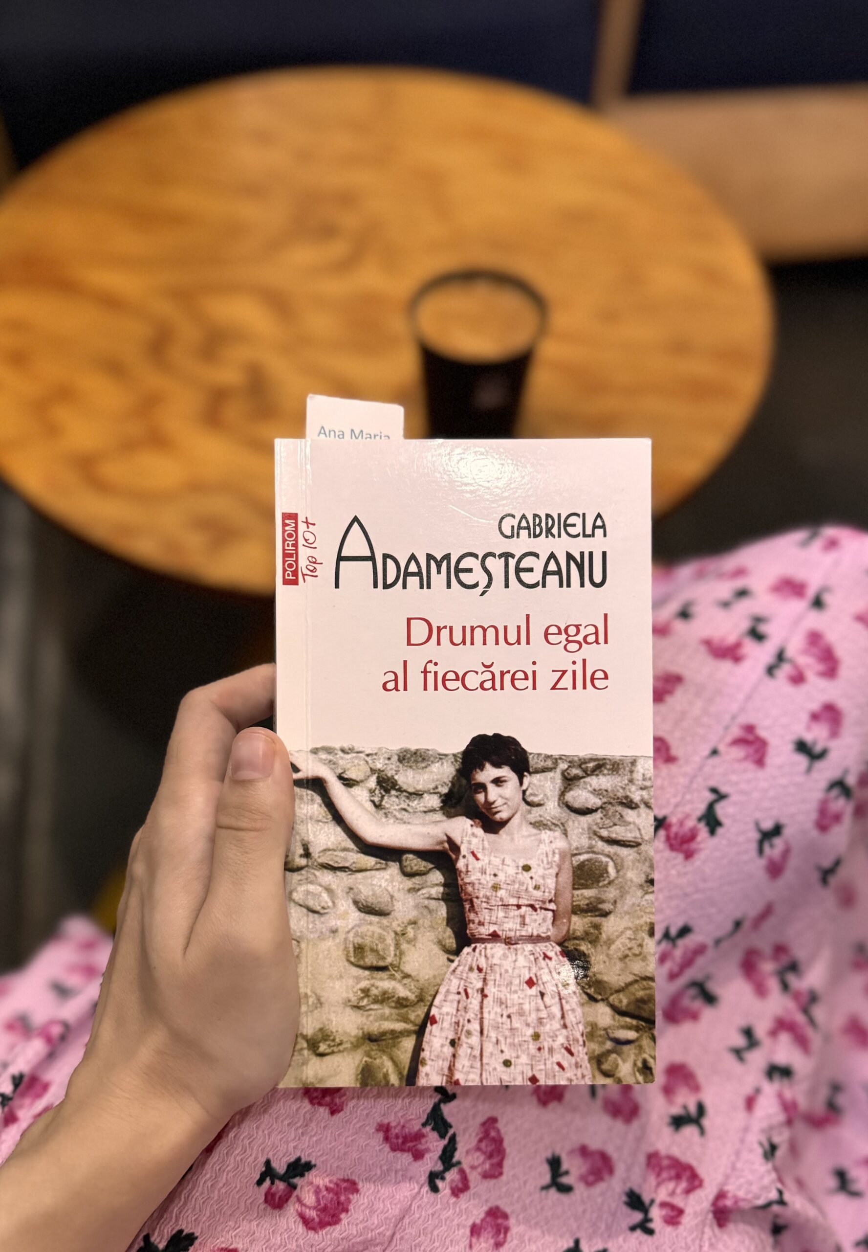 Drumul egal al fiecărei zile – Gabriela Adameșteanu